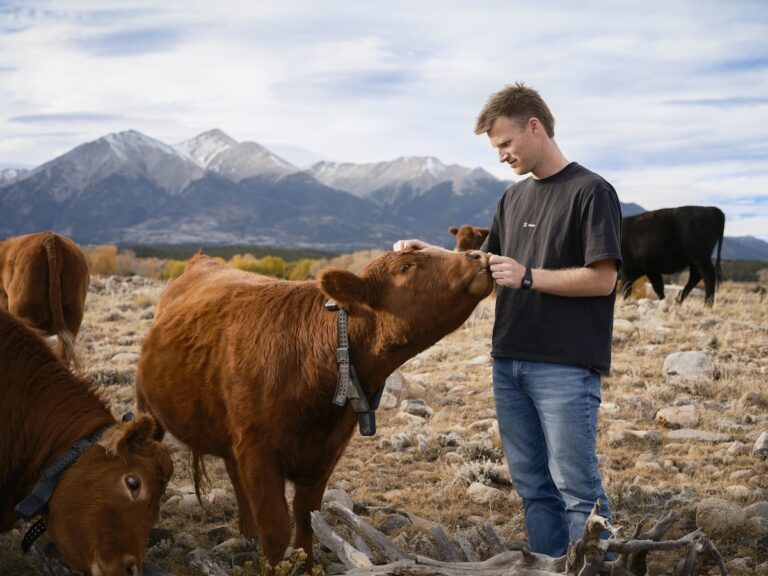 Peter Thiel’s significant investment in solar-powered collars for cows. Големият залог на Peter Thiel върху захранваните със слънчева енергия нашийници за крави